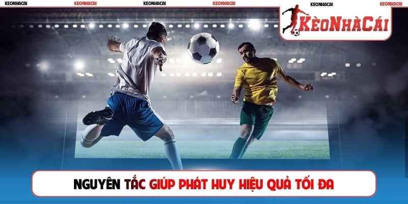 Nguyên tắc giúp phát huy hiệu quả tối đa