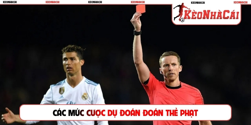 Các mức cược dự đoán đoán thẻ phạt